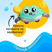 Заводная игрушка «Весёлый краб», цвета МИКС Заводная игрушка «Весёлый краб», цвета МИКС