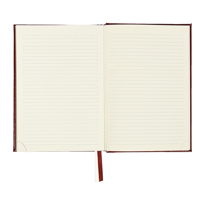 Ежедневник недатированный A5, 176 листов, deVENTE.Symbol, твёрдая обложка из искусственной кожи с поролоном, золотой срез, блок 70 г/м2, коричневый