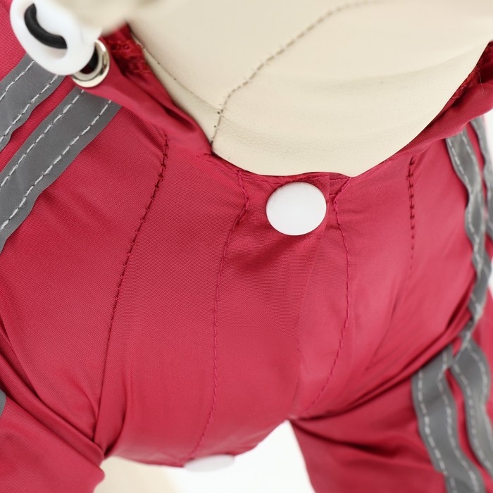 Комбинезон для собак, демисезонный, размер XS (ДС 17-19, Ог 27-29, ОШ 19-21 см), красный