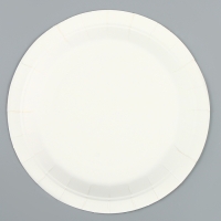 Тарелки бумажные &laquo;С днём рождения&raquo; с цветочками, 6 шт.