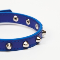 Ошейник с затупленными шипами 38 х 1,5 см, ОШ 26-33, морозостойкий материал PU, голубой Ошейник с затупленными шипами 38 х 1,5 см, ОШ 26-33, морозостойкий материал PU, голубой