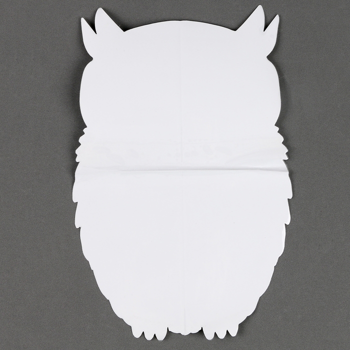 Пазлы деревянные фигурные &laquo;Сова&raquo;, 160 элементов