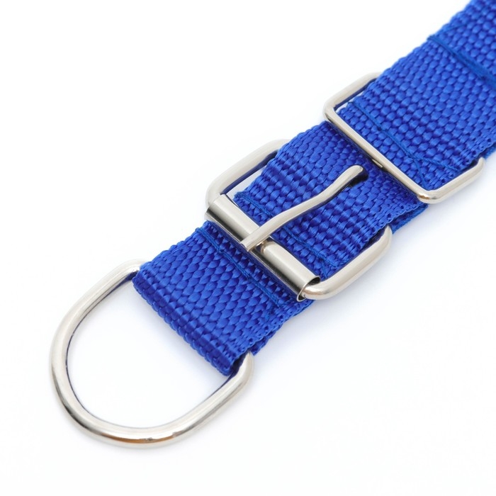 Ошейник "Комфорт" комбинированный, 55 х 2,5 см, ОШ 40-50 см, синий