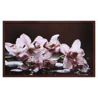 Картина "Цветы на камнях" 67х107 см рамка микс Картина "Цветы на камнях" 67х107 см рамка микс