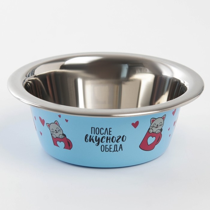 Миска для кошек и собак из нержавеющей стали &laquo;После вкусного обеда&raquo;, 240 мл, 11 х 4 см