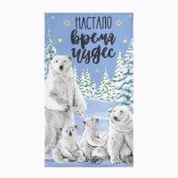 Набор кухонных полотенец Доляна &laquo;С Рождеством&raquo; 35х60см-2шт, 100% хл