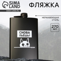 Фляжка &laquo;Снова пьешь?&raquo;, 270 мл