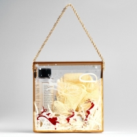 Новогодний подарочный набор косметики &laquo;Новогодний переполох&raquo; для душа и ванны, золотая серия