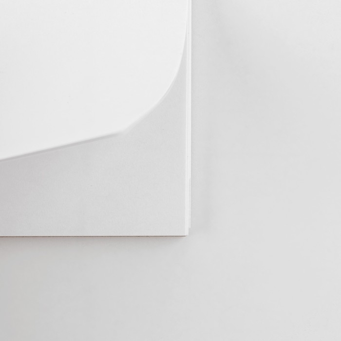 Скетчбук А4, 40 л. 100 г/м &laquo;Енот&raquo;