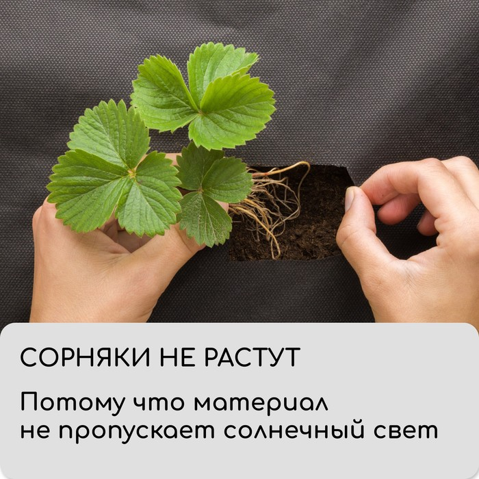 Материал мульчирующий, с перфорацией, 10 × 1,6 м, плотность 80 г/м², спанбонд с УФ-стабилизатором, чёрный, Greengo, Эконом 30% Материал мульчирующий, с перфорацией, 10 × 1,6 м, плотность 80 г/м², спанбонд с УФ-стабилизатором, чёрный, Greengo, Эконом 30%