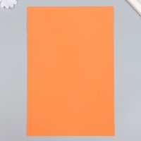 Фоамиран "Грейпфрут" 1,3 мм (набор 5 листов) формат А4 Фоамиран "Грейпфрут" 1,3 мм (набор 5 листов) формат А4