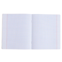 Тетрадь предметная БИОЛОГИЯ, 48 листов в клетку, ErichKrause Be Informed, пластиковая обложка, шелкография, блок офсет 100% белизна, инфо-блок Тетрадь предметная БИОЛОГИЯ, 48 листов в клетку, ErichKrause Be Informed, пластиковая обложка, шелкография, блок офсет 100% белизна, инфо-блок