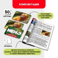 Мемо &laquo;Редкие животные&raquo;
