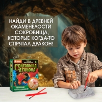 Набор для раскопок &laquo;Сокровища дракона&raquo;