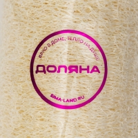 Люффа - мочалка для тела натуральная Доляна, 10,5&times;6&times;6 см