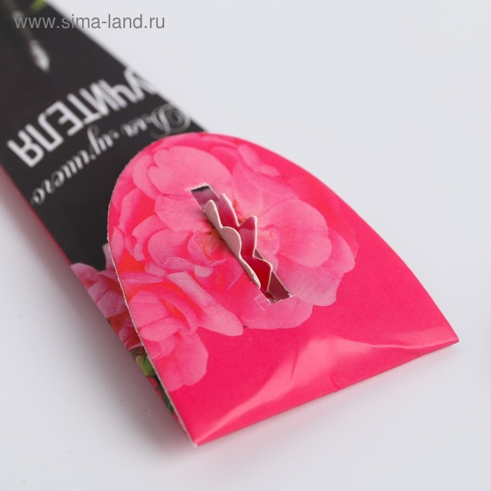 Ручка в подарочном конверте «Учителю: Для лучшего учителя», металл, синяя паста, 1.0 мм Ручка в подарочном конверте «Учителю: Для лучшего учителя», металл, синяя паста, 1.0 мм