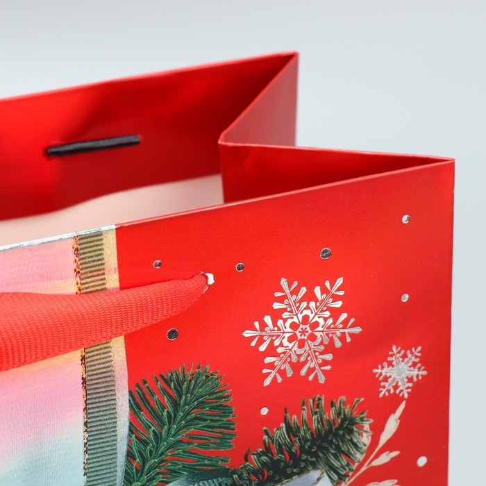Пакет подарочный новогодний ламинированный «Новогодний бант», MS 18 х 23 х 10 см, Новый год Пакет подарочный новогодний ламинированный «Новогодний бант», MS 18 х 23 х 10 см, Новый год