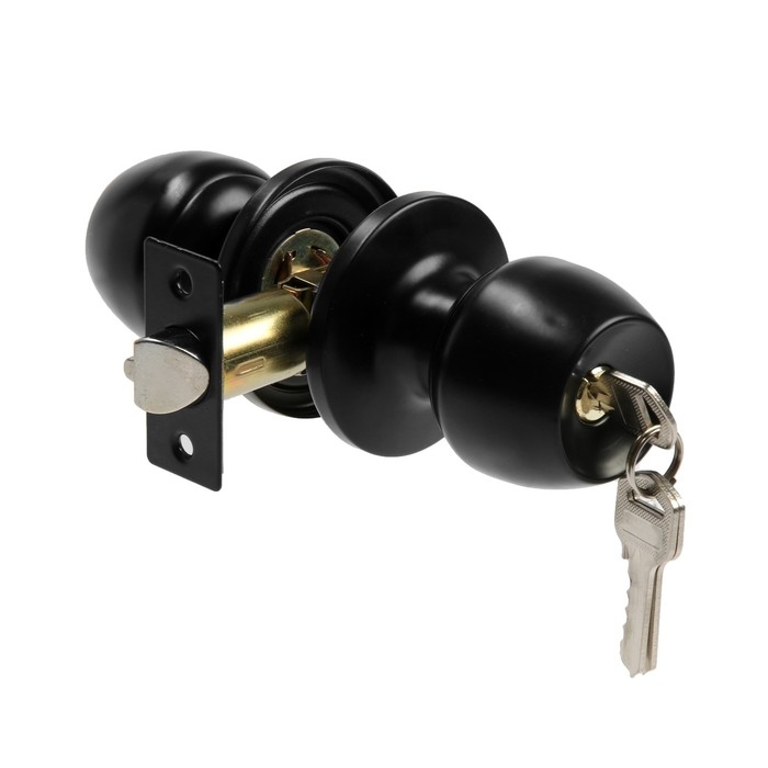 Защелка 1103, с ключом, цвет матовый черный Защелка 1103, с ключом, цвет матовый черный