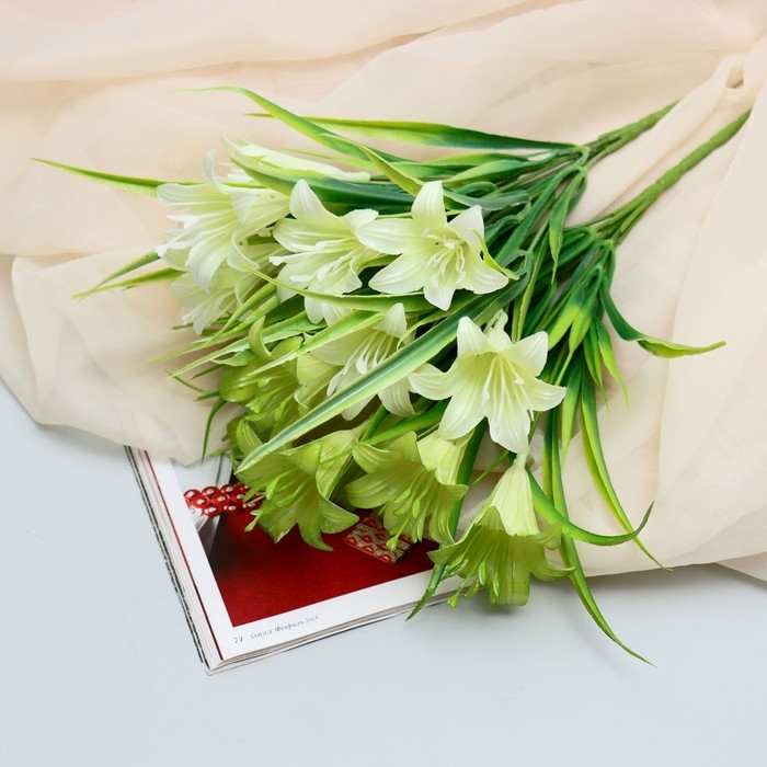 Букет "Хоста поздняя" 5х30 см, микс