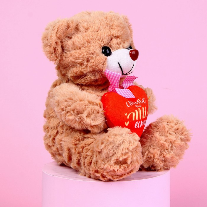 Мягкая игрушка &laquo;Спасибо, что ты есть&raquo;, 22 см., МИКС