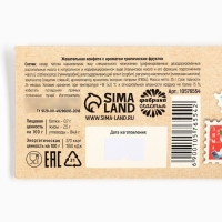 Новый год! Конфеты жевательные, со вкусом тропических фруктов &laquo;Доставка настроения&raquo;, 1 шт х 25 г