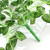 Лиана "Полосатые листья" 80 см