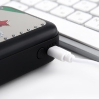 Зарядное устройство &laquo;Заряд мужской энергии&raquo;, 5000мА, мод. PB-01, 10,4 х 6,4 см