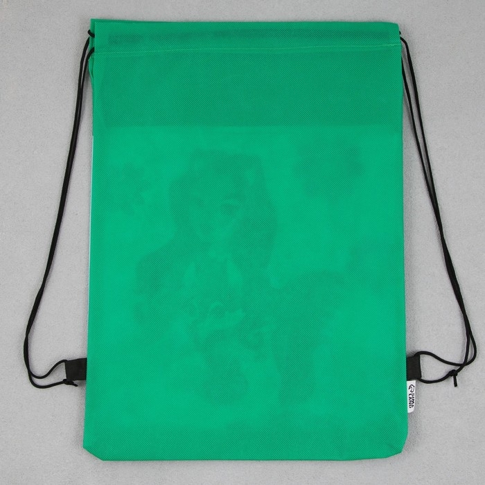 Мешок для обуви &laquo;Девочка с лисёнком&raquo; нетканное полотно, размер 30 х 40 см