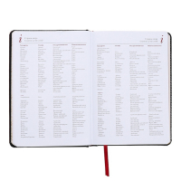 Ежедневник недатированный А5+, 136 листов Sidney Nebraska, твёрдая обложка, искусственная кожа, серебряный срез, чёрный