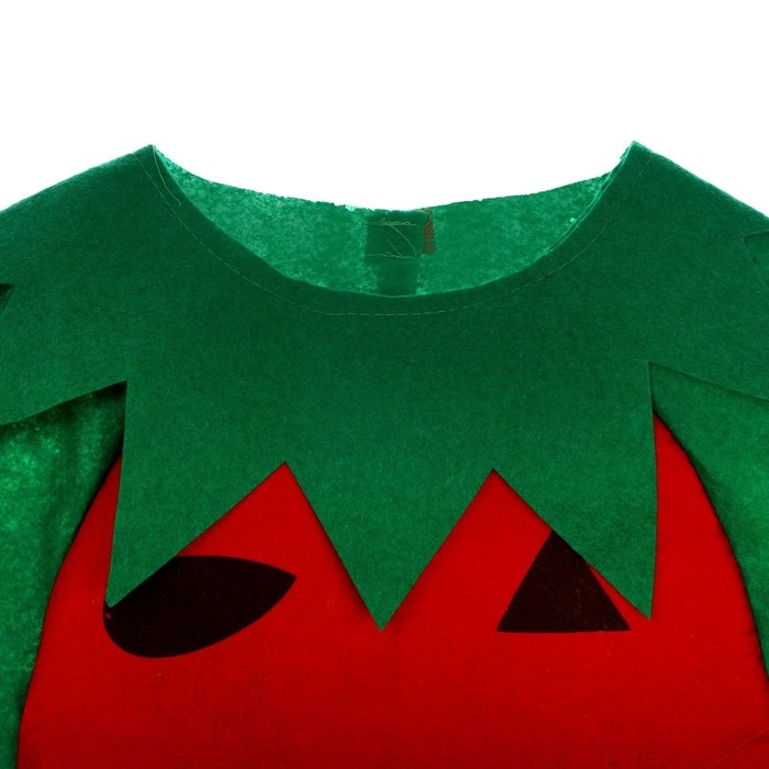 Карнавальный набор &laquo;Забавный арбуз&raquo;, фетр