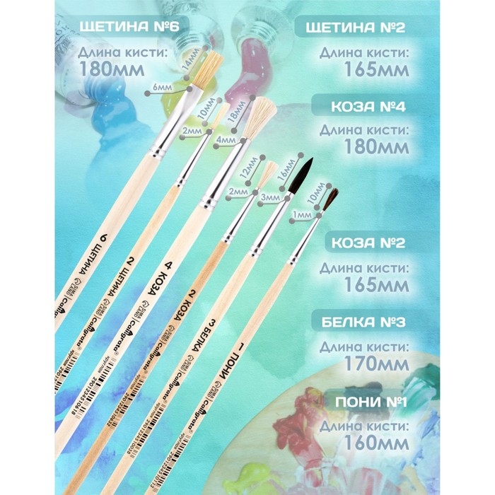 Набор кистей 6 штук Calligrata (круглые: пони №1; белка №3, коза №2,4; плоские: щетина №2,6) ЭКОНОМ