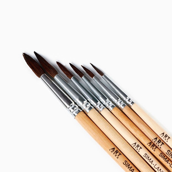 Кисть для рисования набор 6 шт. белка № 1,3,5,7,9,11 &laquo;Фрида&raquo;