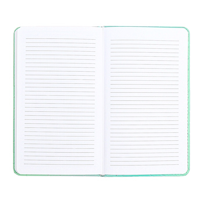 Планинг карманный недатированный, 80 листов, 100 х 170мм, deVENTE.Elizabeth, твердая обложка кожзам с поролоном, хлястик, блок 70, зеленый