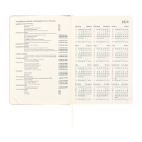 Ежедневник датированный 2025 A5 168 листов, deVENTE.Barbara, твердая обложка кожзам с поролоном, хлястик, перфорация, ляссе, блок 70, розовый Ежедневник датированный 2025 A5 168 листов, deVENTE.Barbara, твердая обложка кожзам с поролоном, хлястик, перфорация, ляссе, блок 70, розовый