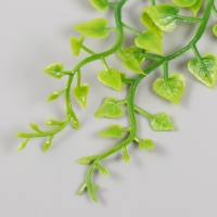 Искусственное растение для творчества "Эпипремнум" набор 6 шт 15 см