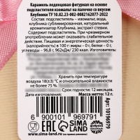 Леденец с цветами &laquo;Ты чудесна&raquo;, вкус: клубника, БЕЗ САХАРА, 12 г.