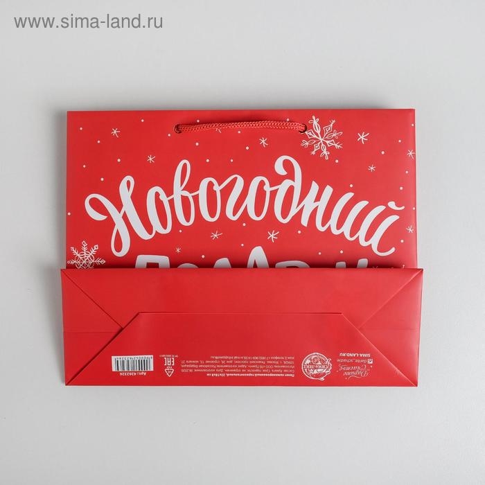 Пакет ламинированный горизонтальный &laquo;Новогодний подарок&raquo;, MS 23 х 18 х 8 см, Новый год