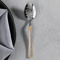 Ложка чайная с гравировкой «Любимый сын», в подарочной коробке, 3 х 14 см. Ложка чайная с гравировкой «Любимый сын», в подарочной коробке, 3 х 14 см.