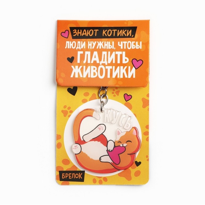 Брелок для ключей акриловый &laquo;Знают котики&raquo;, 10 х 5 см