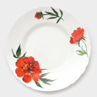 Сервиз столовый &laquo;Бархатная роза&raquo;, 37 предметов, стеклокерамика