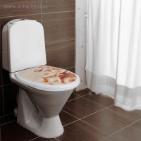 Сиденье для унитаза с крышкой Росспласт &laquo;Ракушки на песке&raquo;,54х37см, белое