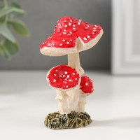 Сувенир полистоун "Три красных мухомора" МИКС 8,9х5,8х5,4 см Сувенир полистоун "Три красных мухомора" МИКС 8,9х5,8х5,4 см