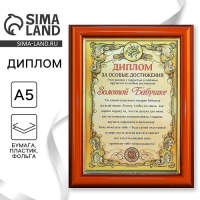 Диплом в рамке "Золотой бабушке", золото 16,6 х 21,5 см Диплом в рамке "Золотой бабушке", золото 16,6 х 21,5 см