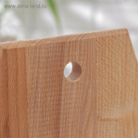 Нaбор досок разделочных из букa Премиум, 2 шт: 24,5&times;35 см, 19&times;30,5 см, мaссив букa