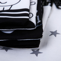 Книжка-бортик развивающая по методике Г. Домана «Я изучаю животных» Книжка-бортик развивающая по методике Г. Домана «Я изучаю животных»