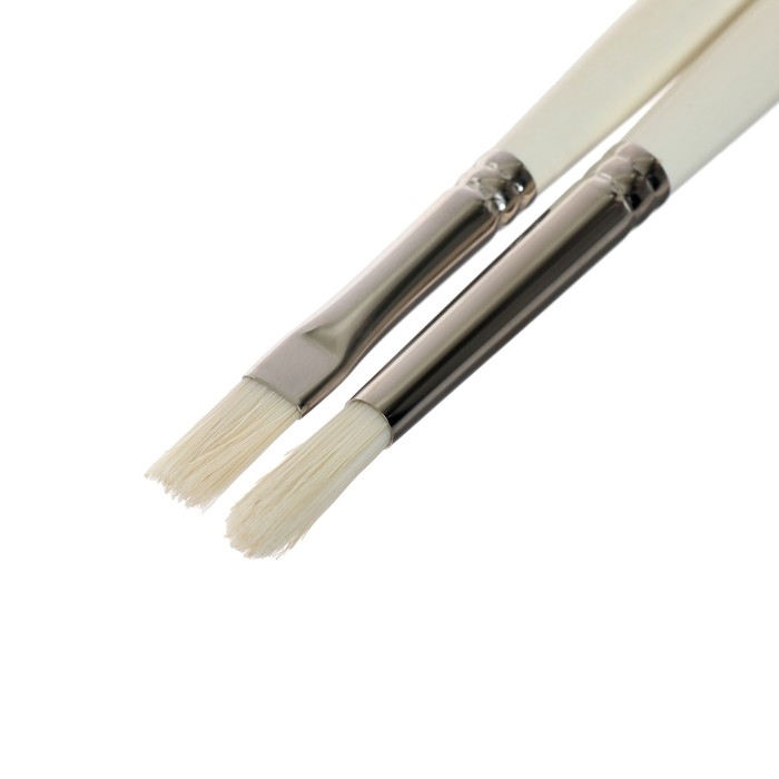 Краска масляная художественная, набор 12 цветов х 18 мл, ЗХК Краска масляная художественная, набор 12 цветов х 18 мл, ЗХК "Ладога" подарочный, кисти 2 штуки, масло льняное 120 мл, 1241967