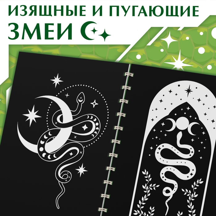 Книга &laquo;Гравюры. Змеи&raquo;, 8 картинок, со штихелем