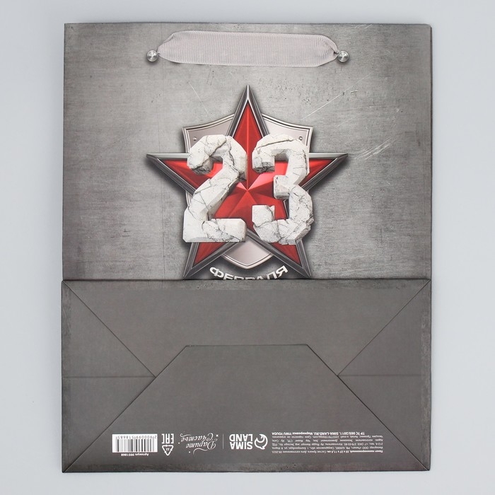 Пакет подарочный ламинированный вертикальный, упаковка, &laquo;Защитнику&raquo;, ML 23 х 27 х 11.5 см