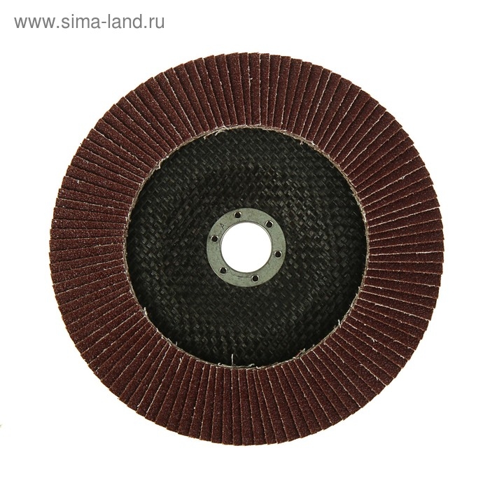 Круг лепестковый торцевой конический ТУНДРА, 180 х 22 мм, Р80 Круг лепестковый торцевой конический ТУНДРА, 180 х 22 мм, Р80