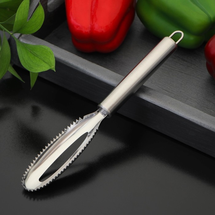 Рыбочистка Доляна «Металлик», 16,5 см, цвет серебристый Рыбочистка Доляна «Металлик», 16,5 см, цвет серебристый